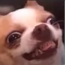 borknugget avatar