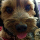 borkseternally avatar