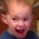 borled-eggs-and-lies avatar