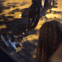 born-of-confusion avatar