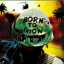 born-to-grow avatar