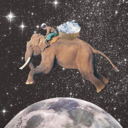 bornafterdeath19 avatar