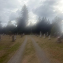 bornandraised-onpluto avatar