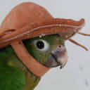 borntobeamazing avatar