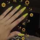 borntobewild-and-free avatar