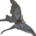 borntothriive avatar