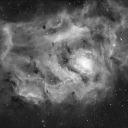 borrn-to-diee avatar