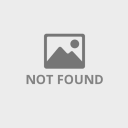 borrowingpoetry avatar