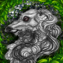 borzoi-x avatar