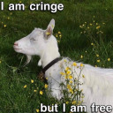 boshberrysfanblogfanblog avatar