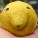 boshiboshiboshi avatar