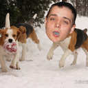 bossdoggblowed avatar