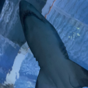 bossraggamuffin avatar