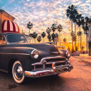 bostonfun1003 avatar