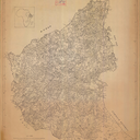 boswelliapapyrifera avatar