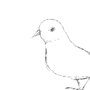 botaniquepure avatar