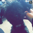 botdfislove22 avatar