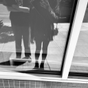 botoxhorseman avatar