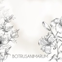 botrusanimarum avatar