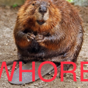 bottle-of-vinegar avatar