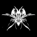 bougainvilleamusic avatar