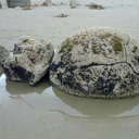 boulder-coast avatar