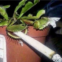 boundless-skies avatar