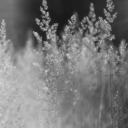 boundlessfanatic avatar