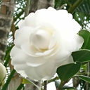 bountyofbeads avatar