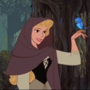 bouquet-of-briar-roses avatar