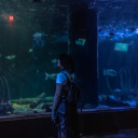 bouquet-of-problems avatar