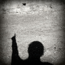 bouquetdeparcimonie avatar