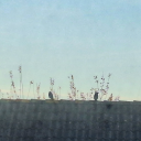 bouquetofnettle avatar