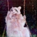 bourbontosociety avatar