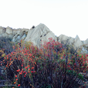 bourne-torite avatar