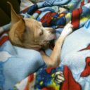 bout-to-catch-these-hands avatar