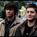 bow-legandhis-golden-retriever avatar