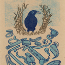 bowerbird9 avatar