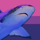 bowlingwithroman avatar