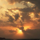 bowlofanxiety avatar