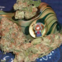 bowlsandbuds-blog-blog avatar