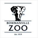 bowmanvillezooanimals-blog avatar