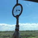 bowsandfrills avatar