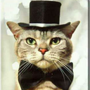 bowtiesandwhiskers avatar