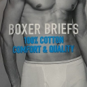 boxersinsight avatar