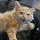 boxes-and-boxes avatar