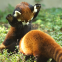 boxhouse-blog-blog avatar