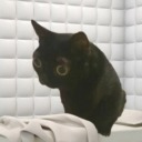 boxinthecorneroftheroom avatar