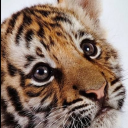 boy-with-a-bell avatar