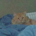 boygarden1996 avatar